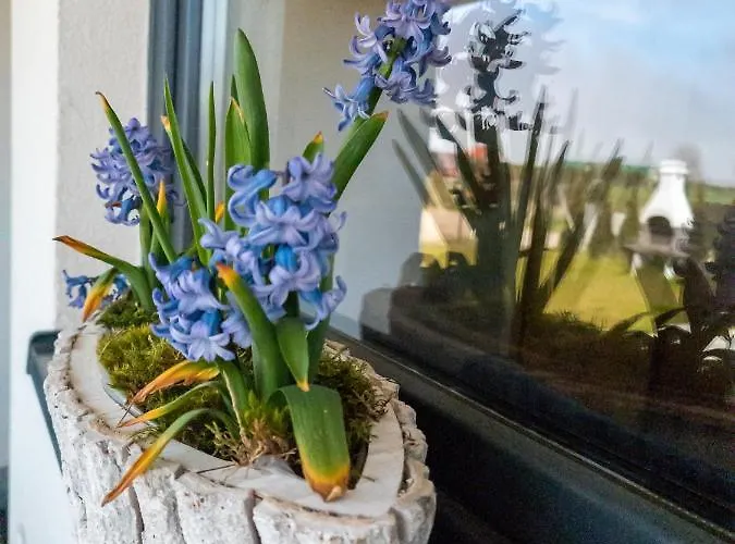 Baltic Sea * Władysławowo